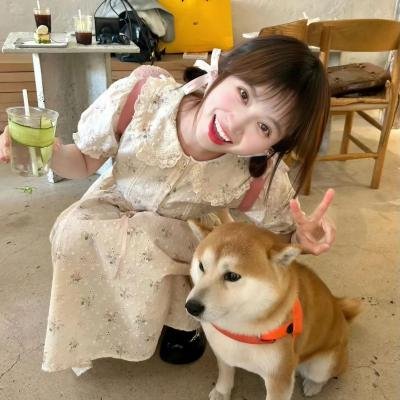 花间一倾城